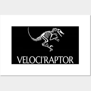 Velociraptor -  Late Jurassic Fossil (Archaeology, Paleontology) Posters and Art